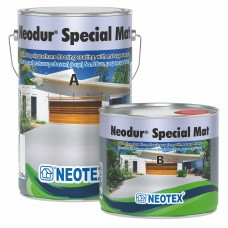 NEODUR SPECIAL MAT 10 KG